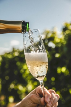 Sektprobe am 08.06.23 um 15 Uhr im Weingut Zehmer